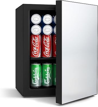 DOGHLY 0.95 Cu.Ft Mini Refrigerator and Beauty Fridge, 24 Cans Mini Fridge with Mirror Door, Temperature Control, Removable Shelf, Compact Cooler for Bedroom, Dorm, Office, Beverage Beauty Storage