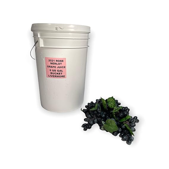 2021 Rose of Merlot (JUICE) Bucket Frozen Grape Juice 6 Gallons - Livermore Valley California