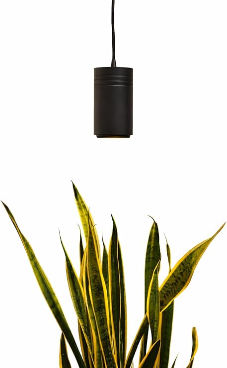Aspect Soltech Decor Pendant Grow Light for Houseplants, Warm White, Black