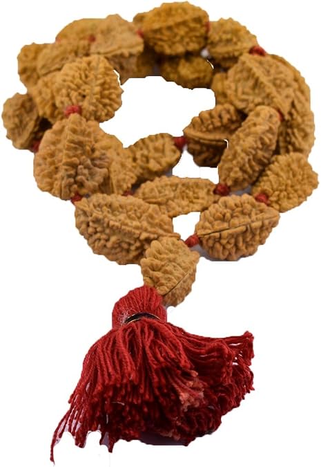 skyjewels Certified 2 Mukhi Rudraksha Mala Buy Online Sale