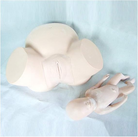 Baby Delivery Model Midwifery Training Model - Maternity Teaching Mold Birth Simulator Childbirth Demonstration Models Manikin Teaching Model For Nursing