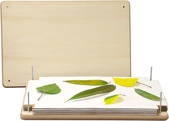 BestNest Nature Press, 12" x 18" Large Wooden Flower & Leaf Press with Instructions, Cardboard & Desiccation Paper, Kid-Friendly Craft Tool for Art, Botany Projects & Professional Use