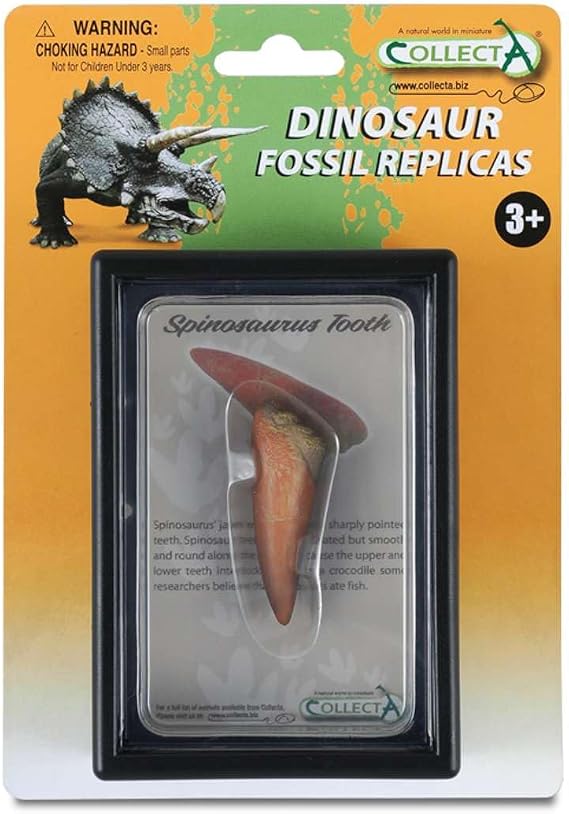 CollectA Prehistoric Life Tooth of Spinosaurus Box Set - Paleontologist Approved Dinosaur Fossil Replica