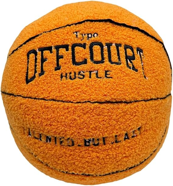 XIYUAN 9.8inch BasketballPlush Offcourt Basketball Pillow Soft Plush Basketball Sports Pillow Durable Sport Basketballs Plush Toy Sports Theme Room Decorations, Birthday Gifts for Boys (Orange)