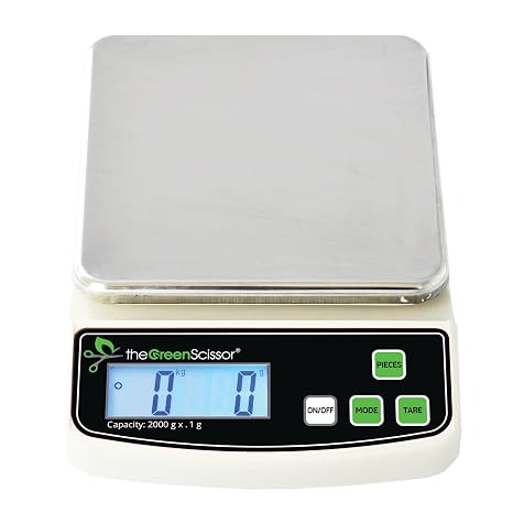 Digital Tabletop Scale