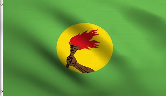 DMSE Zaire Flag 3X5Ft Foot 100% Polyester 100D Flag