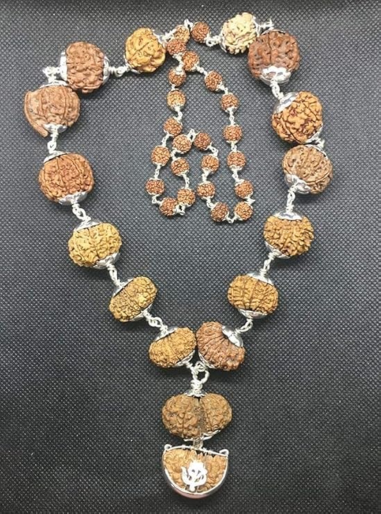 Siddha Mala Rudraksha in Silver with Silver Rudraksha Mala (1-14 Mukhi, Ganesh, Gaurishankar 2 Mukhi Indian) Nepal Origin Medium Size Beads IGL Lab. Certified