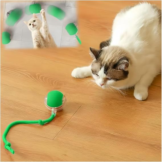 Interactive Cat Toys for Indoor Cats, Agility Move Cat Balls,Motion Activated Cat Balls, Cat Toys for Bored Indoor Cats(Green)