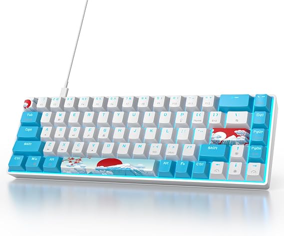Owpkeenthy Wired 65% Mechanical Gaming Keyboard with Blue Switch 60% Ultra Compact RGB Gaming Keyboard Backlit Keys N-Key Rollover for PC PS5 Xbox(Blue/ 68 Blue Switch)