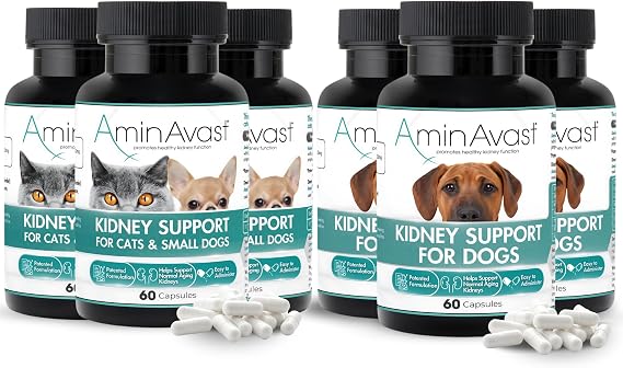 AminAvast Kidney Support Supplement 3-Pack for Cats, Small Dogs (300mg) and Dogs (1000mg) - Promotes Natural Kidney Function and Vitality - 60 Sprinkle Capsules