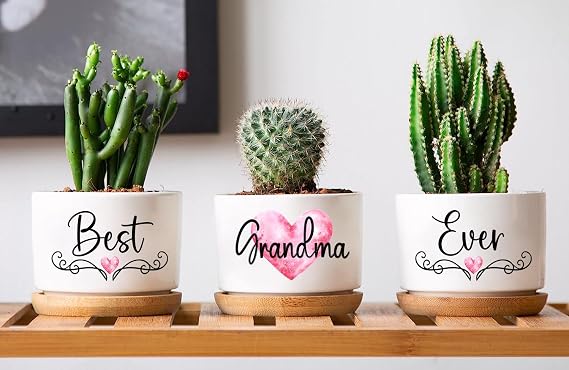 Best Grandma Ever Plant Pots - 3 White Ceramic Succulent Pots - Indoor, Casual, Glossy Finish - 3.15W x 2.36H inch, Tabletop, Drainage Hole, Water Saucers