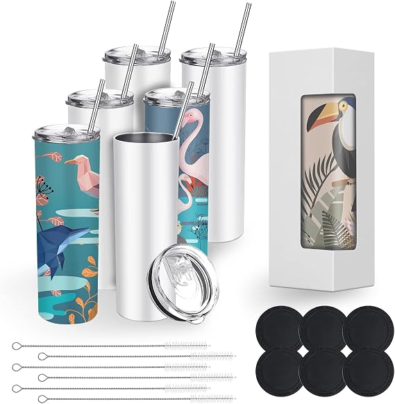 BetterSub 20 oz Sublimation Tumblers, 6 Pack Skinny Straight Stainless Steel Blanks with Lids & Straws, Double Wall Insulated White Cups, Includes Brush and Display Box