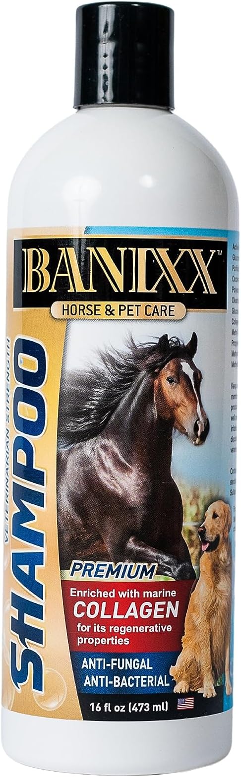 Medicated Shampoo--Soap-Free --Incredible Marine CollagenPet skin Yeast Infections, Ringworm, Rain Rot, Horse Scratches, Dermatitis, Itchy Skin