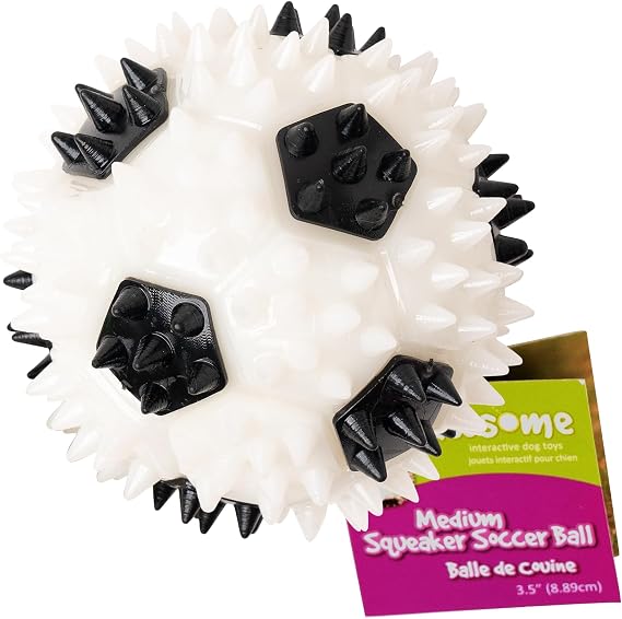 Gnawsome 3.5 Squeaker Soccer Ball Dog Toy - Medium, Promotes Dental and Gum Health for Your Pet, Colors Will Vary, All Breed Sizes