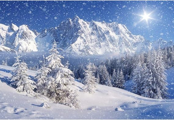 Winter Snow Mountain Landscape Backdrop Frosted Forest Snowflake Photography Background White Wonderland for Happy Party Decor Banner Photo Booth Props 5 * 3ft