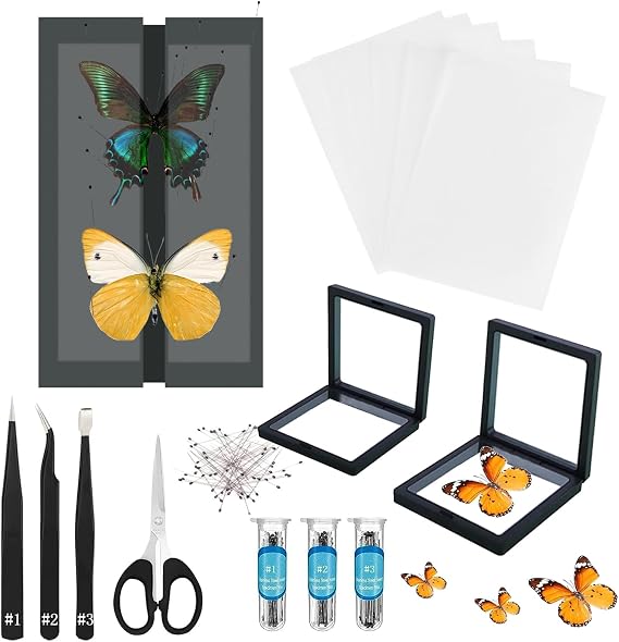 Butterfly Specimen Kit Includes pins, mounting Board, Spreading Tools, Display case, Labels, Forceps, Preserving and showcasing Butterfly specimens. (Black PVC Display Case Box Kit)