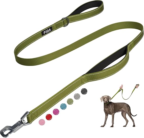Fida Heavy Duty Dog Leash for Medium Large Dogs, 5 FT, Dual Padded Handles | Traffic Handle for Close Control, Advanced Easy Snap Hook, Reflective, Strong Nylon Webbing for Daily Walks & Training, Green