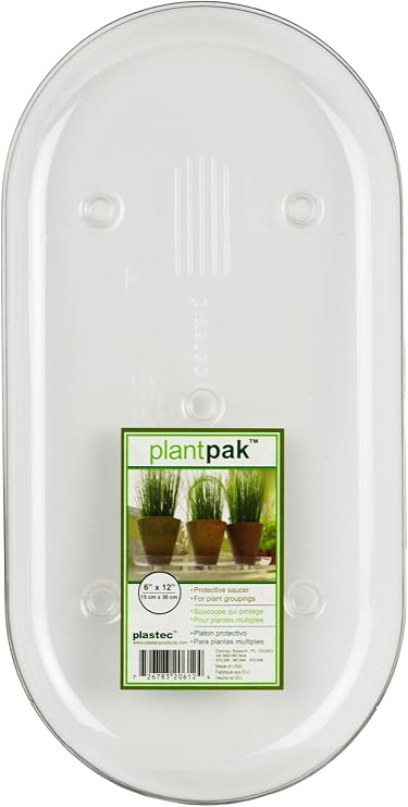 PLIPAK612 Oval Plantpak Saucer, Clear, 12 inches