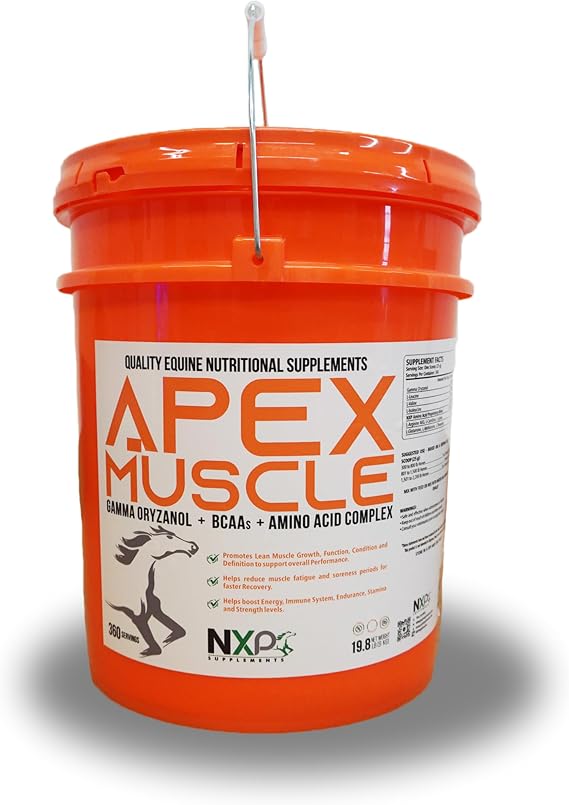 APEX Equine Muscle Builder Powder - Bulk 19.8 lb (360 Servings) | High-Potency Gamma Oryzanol & BCAAs | Horse Strength, Lean Mass & Recovery Support