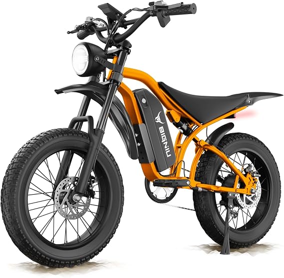 BIGNIU Electric Dirt Bike, Ebikes for Adults with Peak 1200W Motor, 20" Fat Tire, 48V 15A Battery, Dual Disc Brakes E Bike for Off-Road and Electric Bike for Adults Purple