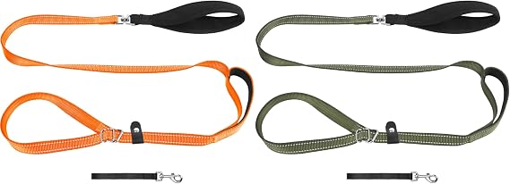 XiaZ Slip Lead Dog Leash Orange and Olive Green