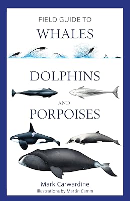 Field Guide to Whales, Dolphins and Porpoises Bloomsbury Naturalist Paperback – July 26, 2022