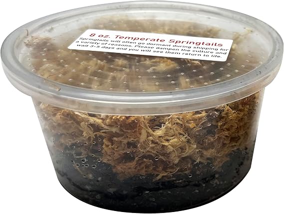 8 oz. Temperate Springtail Starter Culture Live Arrival Guarantee
