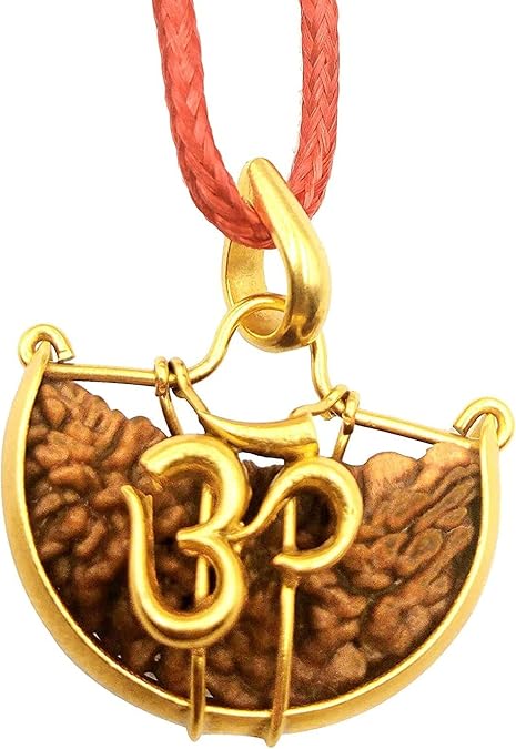 JewelryGift Choose Your Natural Certified Nepali Rudraksha 1, 2, 3, 4, 5, 6, 7, 8, 9, 10, 11, 12, 13 Mukhi Rudraksh Ganesh Mukhi Rudraksh Gauri Shankar Gold Plated Pendant for Men Women
