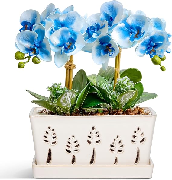 BUYMAX 10 Inch Ceramic Orchid Pot with Holes and Saucer for Root Health