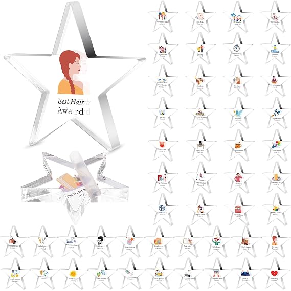Liliaafar 48 Pcs Funny Employee Appreciation Awards Gifts Bulk Small Acrylic Appreciation Awards Trophies Small Team Gifts for Teacher Nurse Office Coworker Staff Recognition(Employee Star)