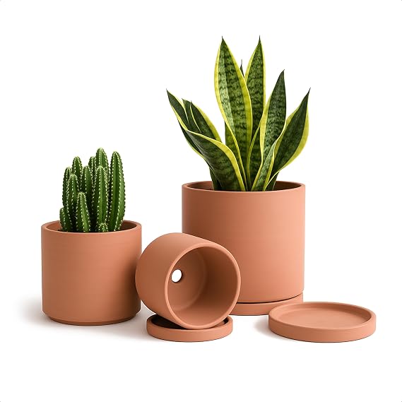 D'vine Dev 3-Pack Classic Terracotta Pots & Saucers, 4/5/6 in, 40-T-A-0 | Cylinder Shape, Timeless Style, Unglazed Terracotta, Porous & Breathable, Ideal for Succulents, Herbs, and Indoor Decor