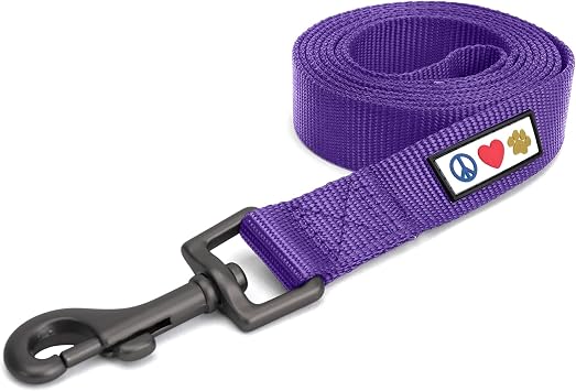 Pawtitas Solid 6 ft Purple Dog Leash XS/S Custom Name and Phone Embroidery Strong Nylon Leash for Small Breeds