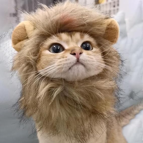 Adorable Lion Mane Costume for Cat & Dog, YUANGUNGUN Funny Pet Cosplay Wig Cap, Pet-Friendly Clothing Accessories for Halloween Christmas Party (S Size)
