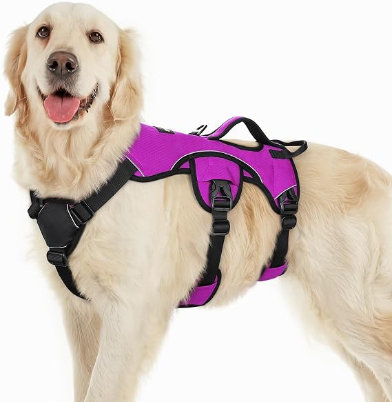 rabbitgoo Escape Proof Dog Harness Large Dog with Large Handle, Purple