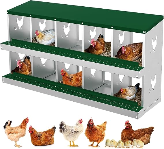 Chicken Nesting Box, 10 Compartment Metal Nesting Boxes for Chicken Coop, Easy Egg Collection, Easy Cleaning, Durable Green Chicken Laying Boxes for Hens
