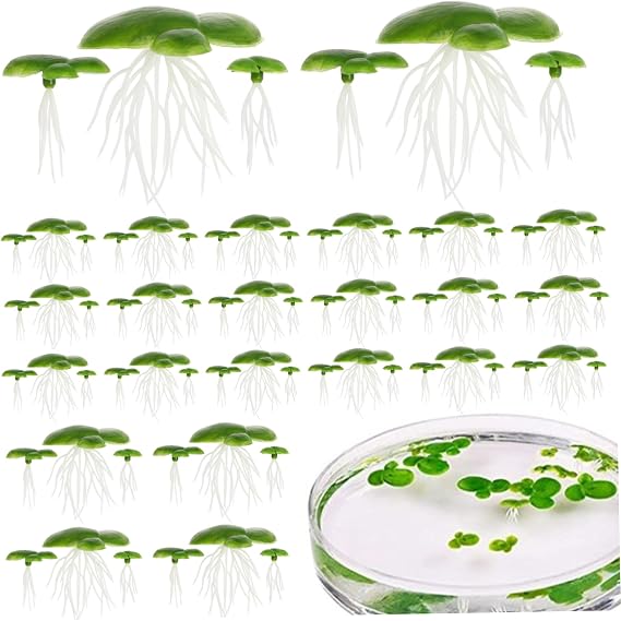 Plastic Pond Plants with Leaves & Roots 72Pcs – Floating Duckweed Aquarium Plants for Indoor Outdoor