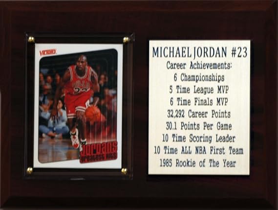 NBA Chicago Bulls Michael Jordan Career Stat Plaque