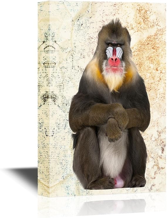 wall26 - Wild Animal Canvas Wall Art - A Sitting Mandrill - Gallery Wrap Modern Home Art | Ready to Hang - 12x18 inches