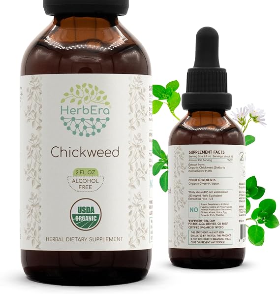 HerbEra USDA Organic Chickweed Alcohol-Free Liquid Extract Tincture Skin & Digestive Wellness, Stellaria Media Dried Herb, Cleansing Support, Vegan, Herbal Supplement (2 fl oz)