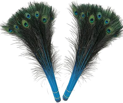 Barara King Natural Peacock Feathers 28-30 inches70-80 cm Long Pole 25 pcs per BundleTurquoise