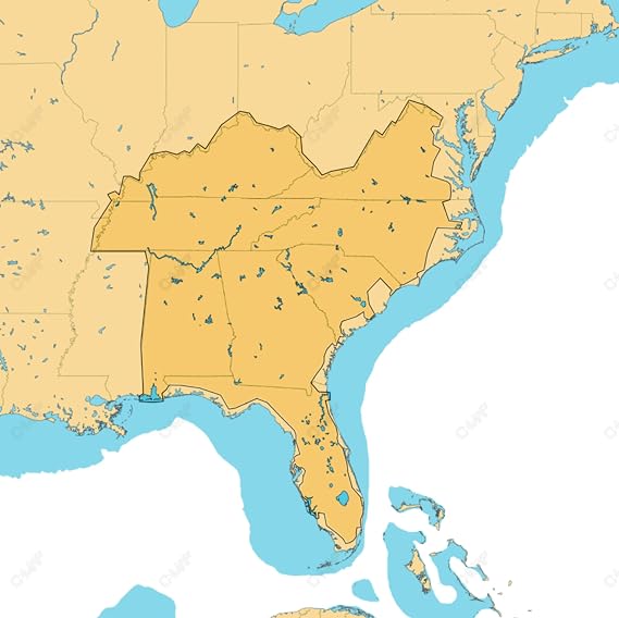 C-MAP Reveal - US Lakes South East, Map Card for Marine GPS chartplotters | Map Card for Marine GPS chartplotters