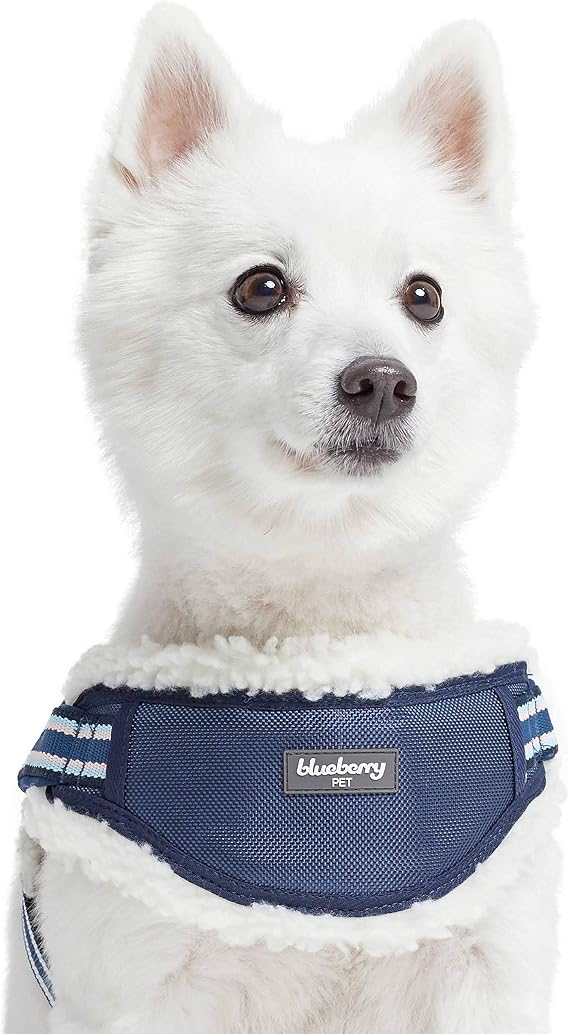 Blueberry Pet Soft & Comfy Multi-Colored Stripe Fleece Padded Chest Dog Harness, Chest Girth 16.5" - 21", Blue, Small, Adjustable No Pull Training Harness for Dogs