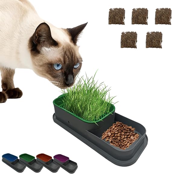 Topraksız Kedi Çimi Kabı Mor – 5 Paket Çim Tohumlu Hidroponik Çim Yetiştirme Seti – Kediler için Doğal Çim Yetiştirme Kutusu – Evde Kolay Çimlendirme ve Sindirim Desteği
