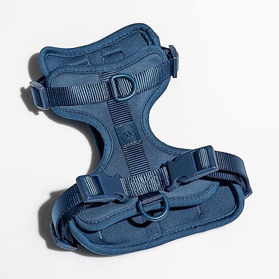 Wild One Harness 2.0 - Small - Blue