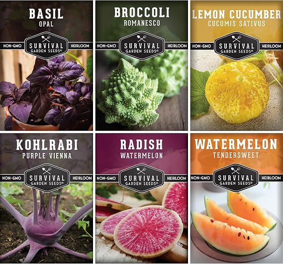Rare Exotic Vegetable & Fruit Seeds for Planting 6 Variety Heirloom Pack | Romanesco Broccoli, Lemon Cucumber, Watermelon Radish, Orange Watermelons, Kohlrabi, Purple Basil - Survival Garden Seeds