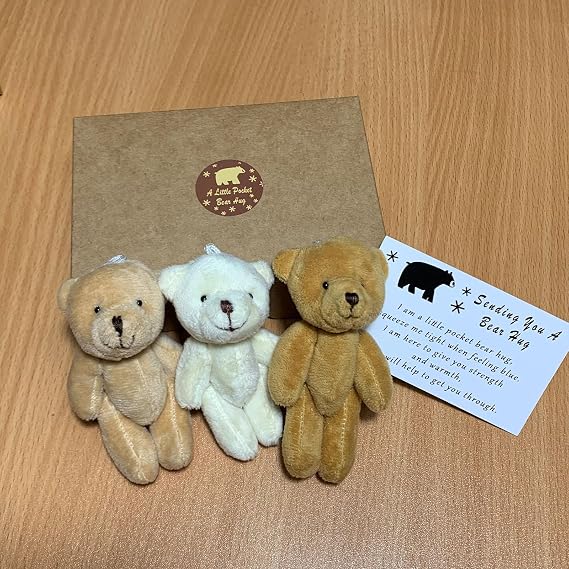 A Little Pocket Bear Hug - Sending You a Bear Hug, with Pocket Hug Token Card, Emotional Support Plush Positive Gifts for Graduation Birthday (3pcs)