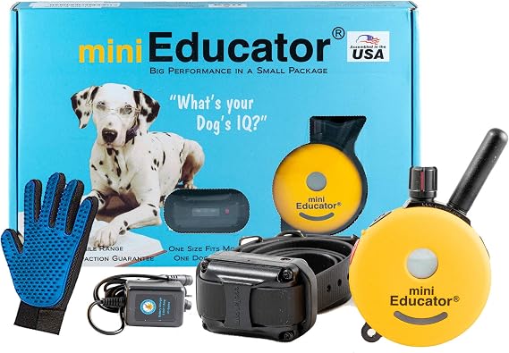 Dog Training e Collar - Educator ET-300 Remote Trainer System - Waterproof - Vibration Tapping Sensation with Bundle Soft Pet Grooming Glove
