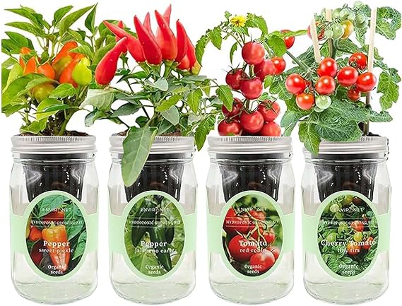 Hydroponic Herb Growing Kit Set, Self-Watering Mason Jar Herb Garden Starter Kit Indoor, Grow 4 Kinds of Herbs from Seeds (2 Tomato & 2 Pepper)