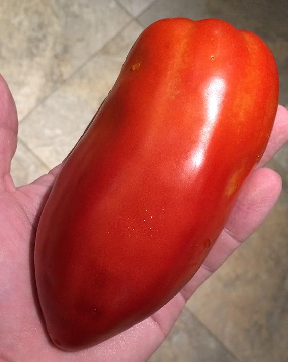 San Marzano Redorta Heirloom Tomato Premium Seeds for Planting Packet