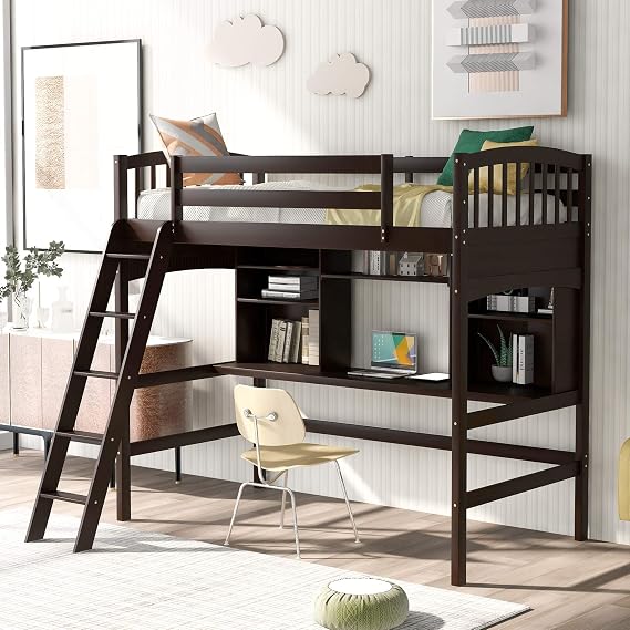 Twin Size Solid Wood Loft Bed with Angled Ladder/Desk/Storage Shelves/Bookcase/Safety Guard Rail, No Box Spring Needed